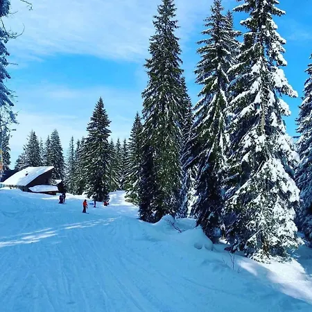 306 Privatni U Sklopu Hotela Vucko شقة