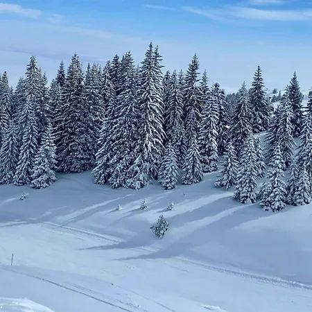 306 Privatni U Sklopu Hotela Vucko Διαμέρισμα *