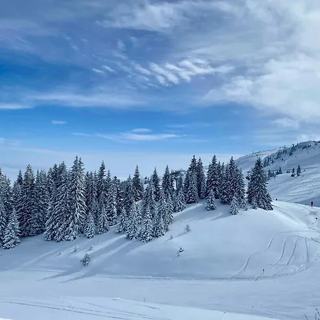 306 Privatni U Sklopu Hotela Vucko *